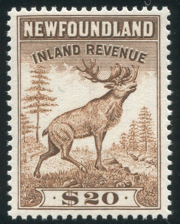 0053NF2002 - NFR53 - Mint