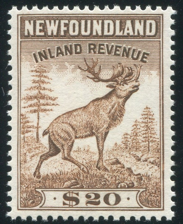 0053NF2002 - NFR53 - Mint