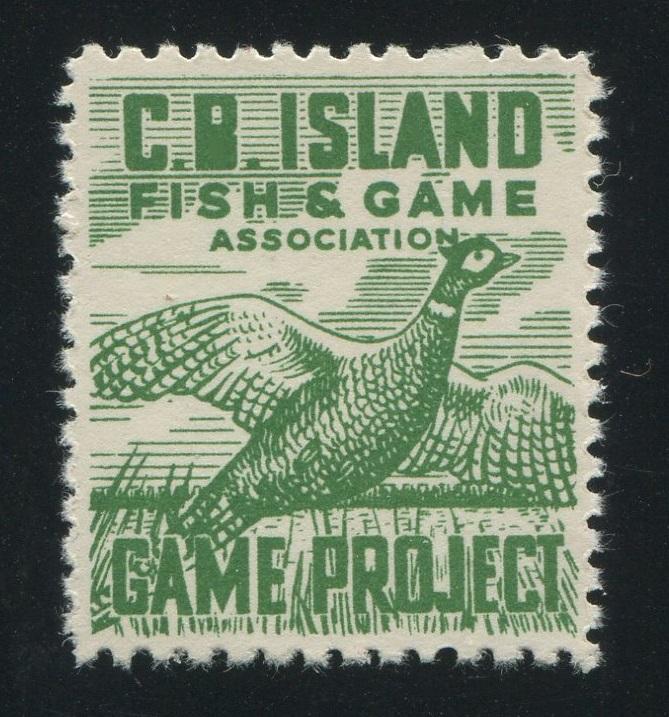0089NS1708 - NSG1 - Mint