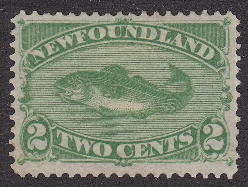 0046NF2106 - Newfoundland #46 - Mint