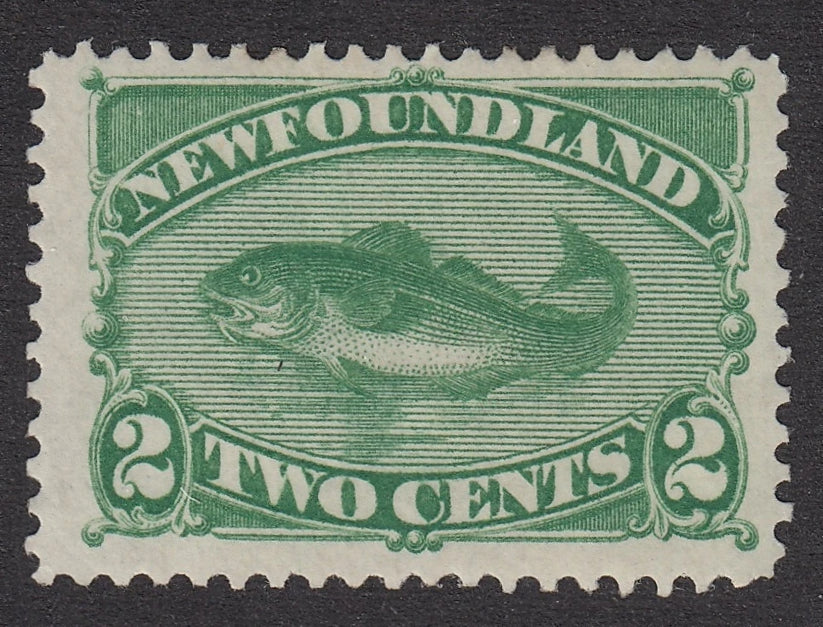 0047NF2106 - Newfoundland #47 - Mint