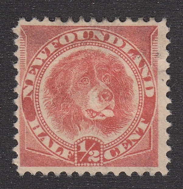 0057NF2106 - Newfoundland #57 - Mint