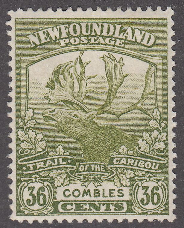 0126NF2201 - Newfoundland #126 - Mint