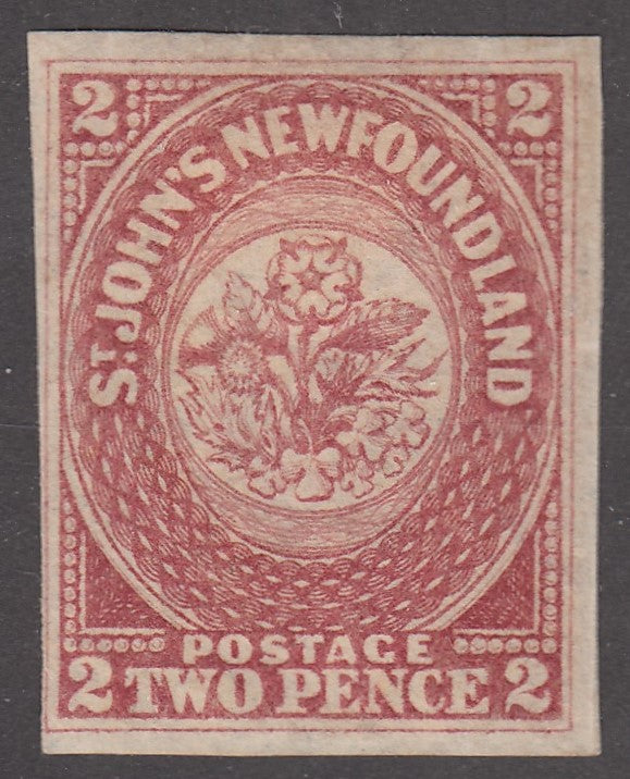 0017NF2201 - Newfoundland #17 - Mint