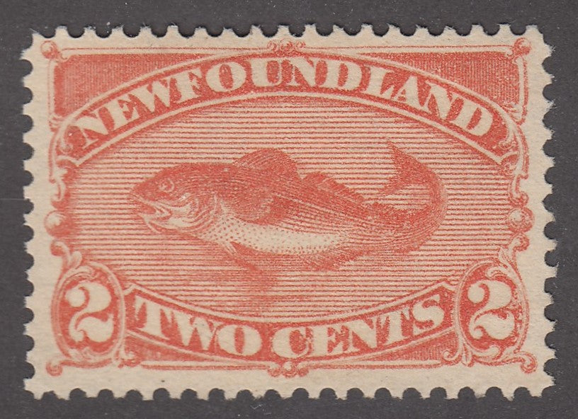 0048NF2201 - Newfoundland #48 - Mint