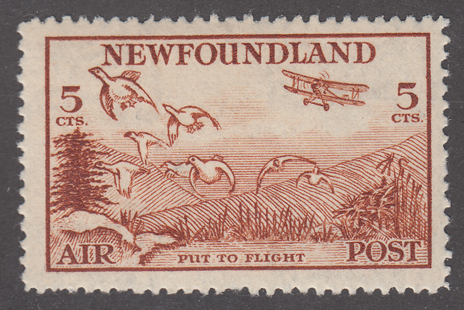 0283NF2202 - Newfoundland C13iii - Mint