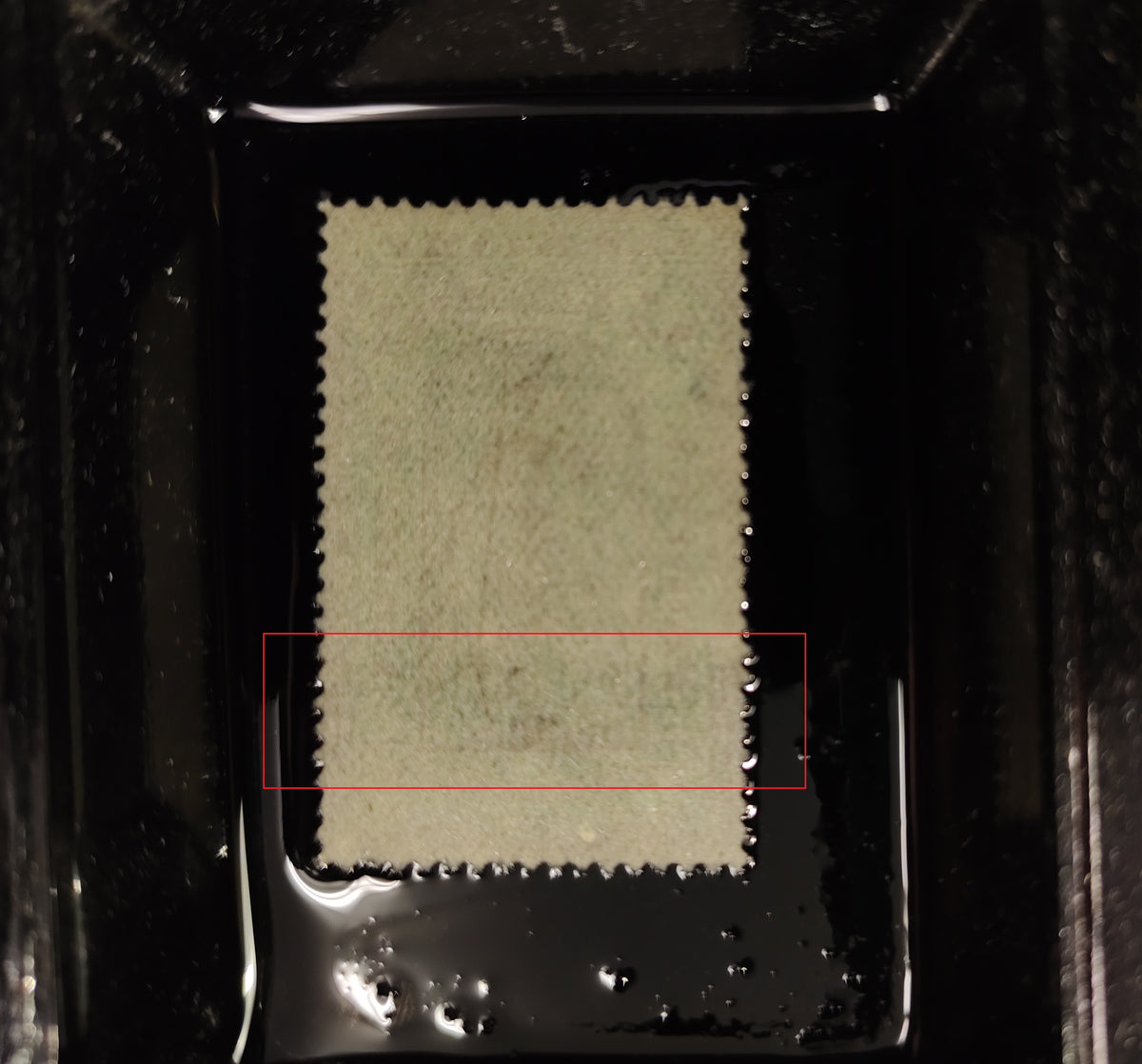 0051QL2106 - QL51 - Used, Unlisted Stitch Watermark