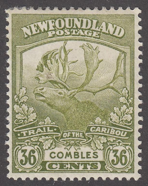 0126NF2205 - Newfoundland #126 - Mint