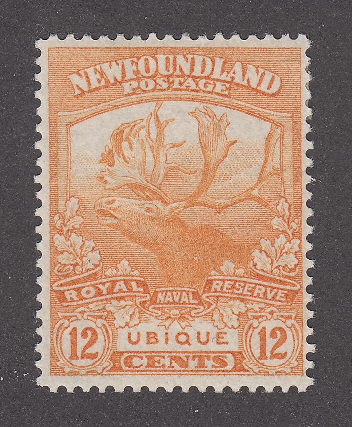 0123NF2206 - Newfoundland #123 - Mint