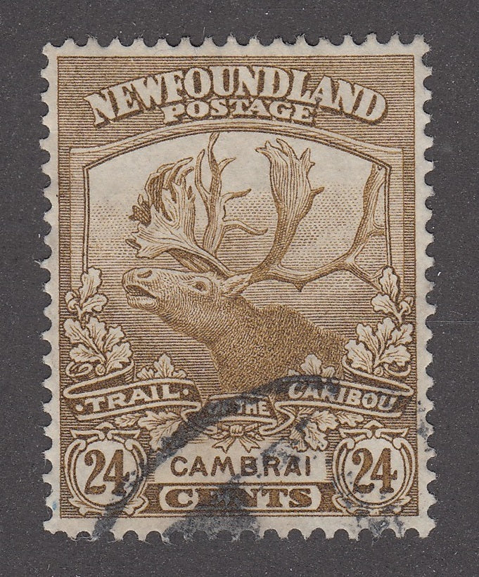 0125NF2206 - Newfoundland #125 - Used