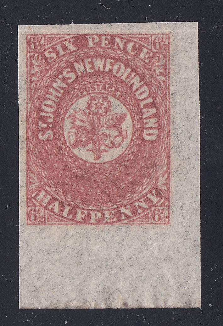 0021NF2206 - Newfoundland #21 - Mint