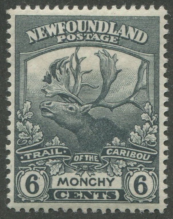 0120NF2301 - Newfoundland #120 - Mint