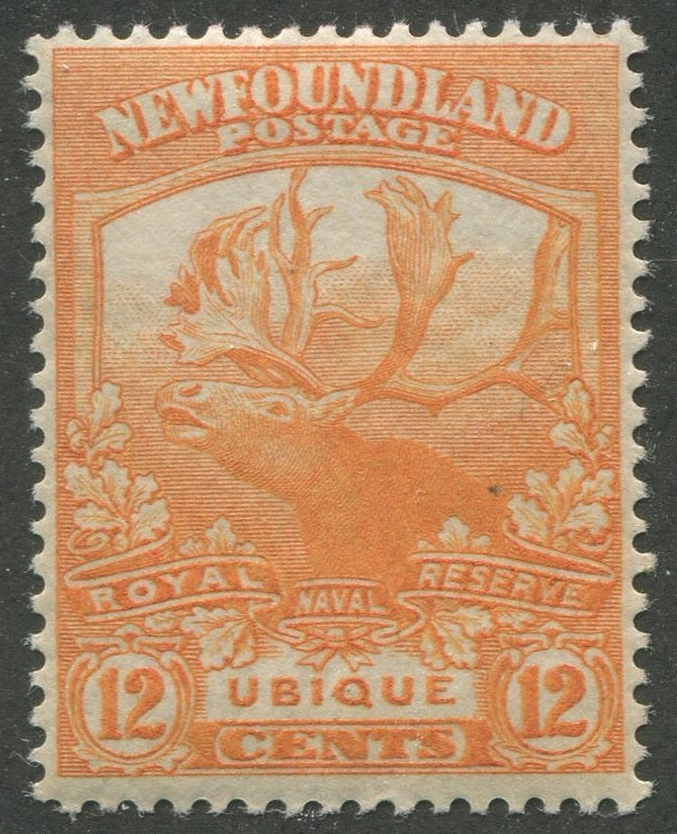 0123NF2301 - Newfoundland #123 - Mint