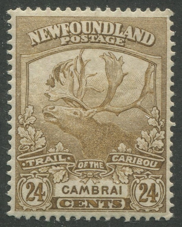 0125NF2301 - Newfoundland #125 - Mint