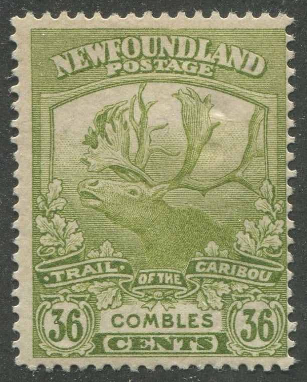 0126NF2301 - Newfoundland #126 - Mint