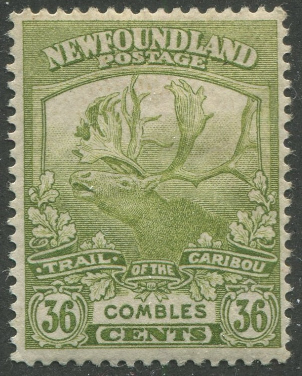 0126NF2301 - Newfoundland #126 - Mint