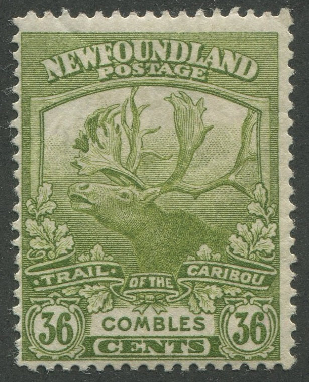 0126NF2209 - Newfoundland #126 - Mint