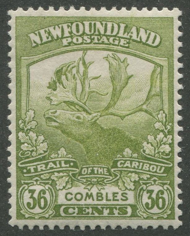 0126NF2301 - Newfoundland #126 - Mint