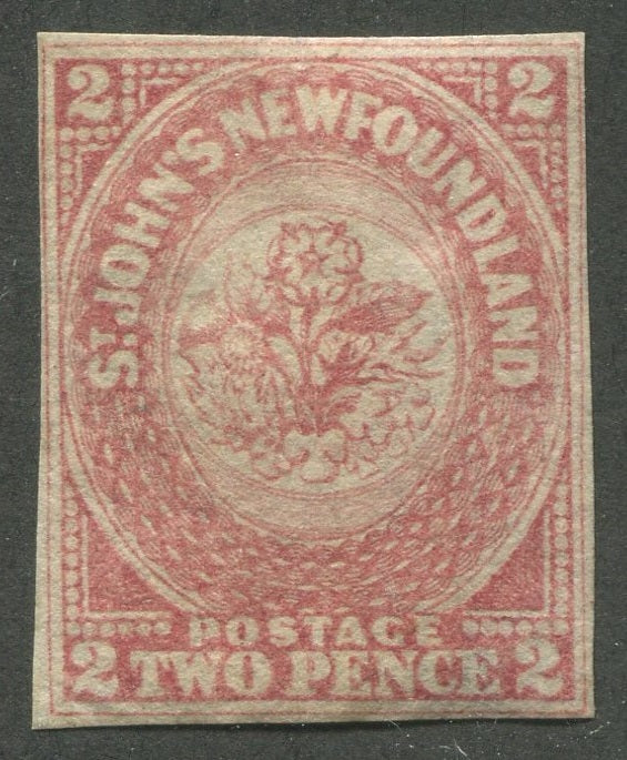 0017NF1901 - Newfoundland #17 - Mint