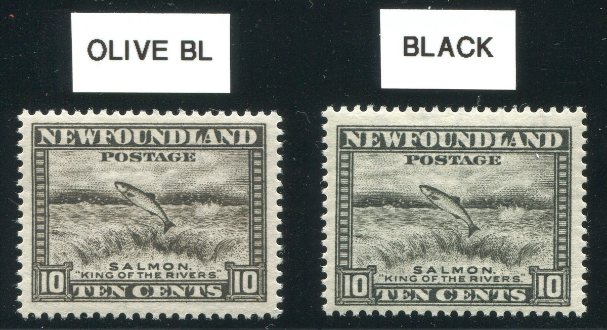 0193NF2002 - Newfoundland #193 - Mint Color Error