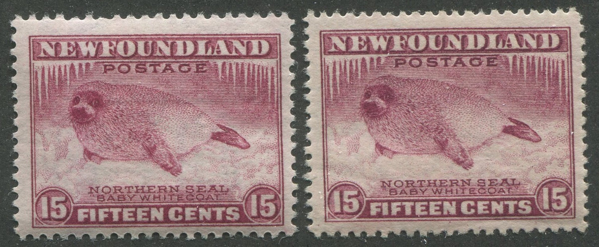 0195NF2211 - Newfoundland #195, 195b - Mint