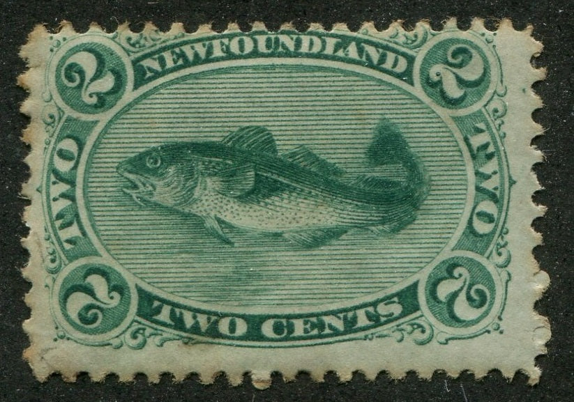 0024NF2209 - Newfoundland #24 - Mint