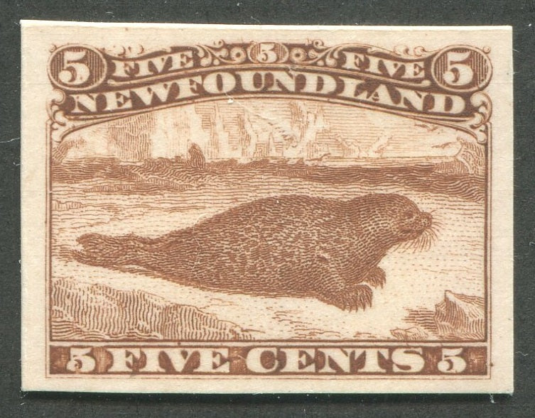 0025NF1810 - Newfoundland #25Piii - Proof