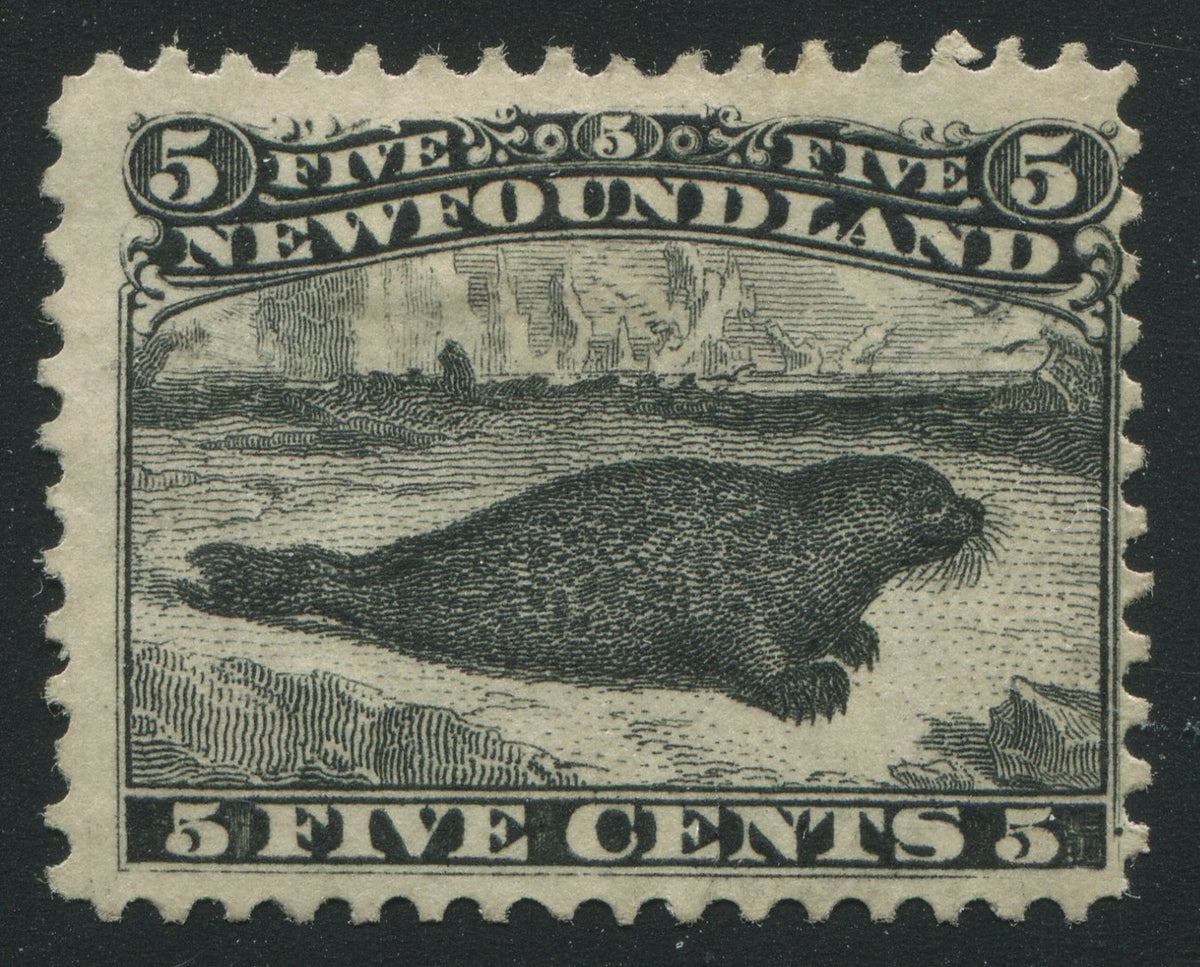 0026NF1711 - Newfoundland #26 - Mint Re-Entry