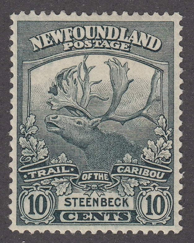 0122NF2104 - Newfoundland #122 - Mint