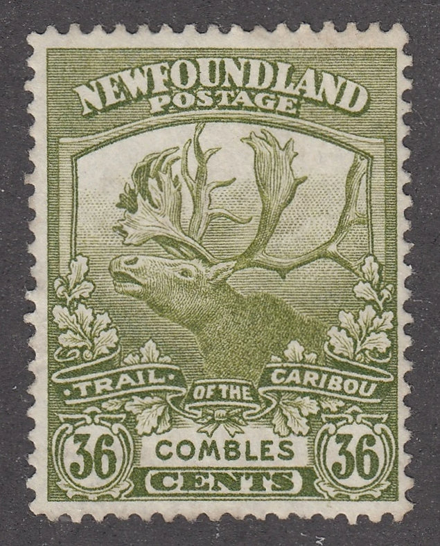 0126NF2104 - Newfoundland #126 - Mint