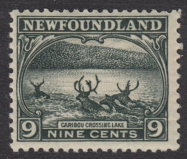 0138NF2104 - Newfoundland #138 - Mint