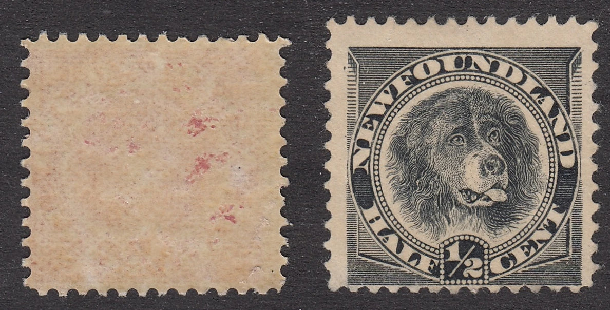 0056NF2104 - Newfoundland #56, 58 - Mint