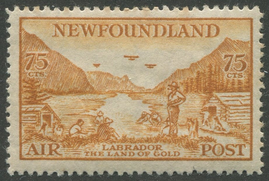 0287NF2302 - Newfoundland C17iii - Mint