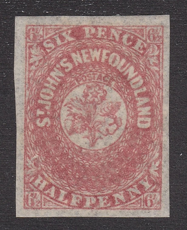 0021NF2105 - Newfoundland #21 - Mint