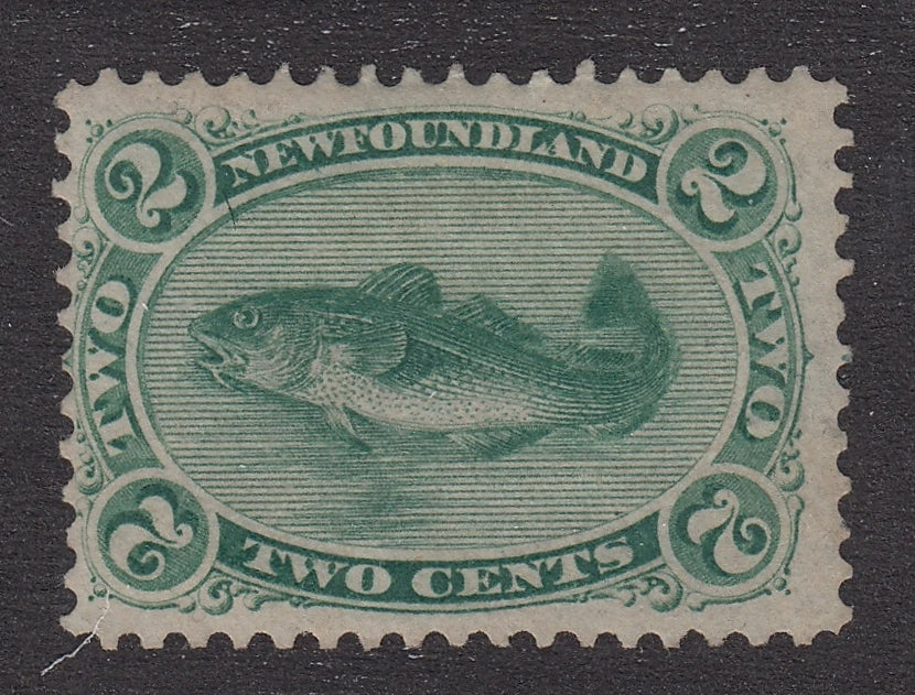 0024NF2105 - Newfoundland #24 - Mint