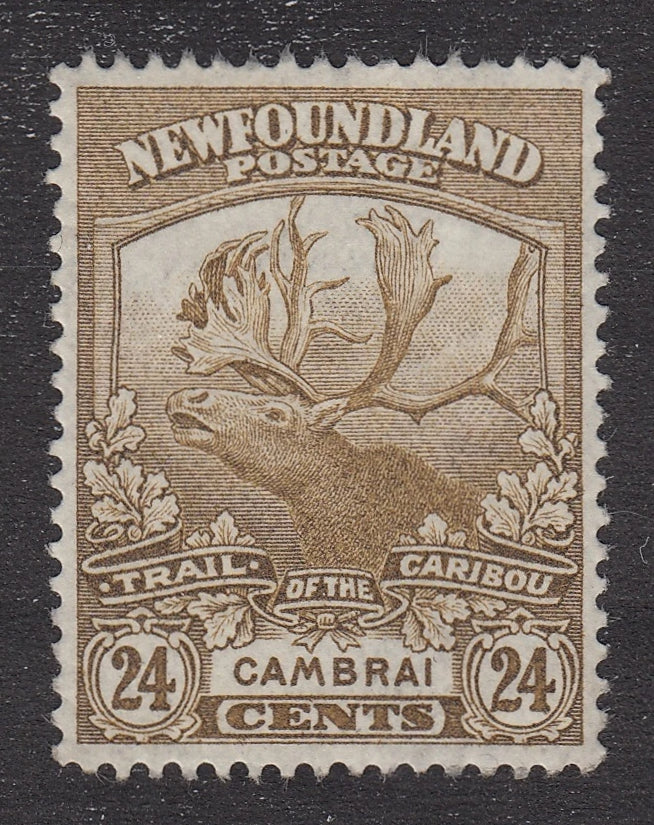 0125NF2106 - Newfoundland #125 - Mint