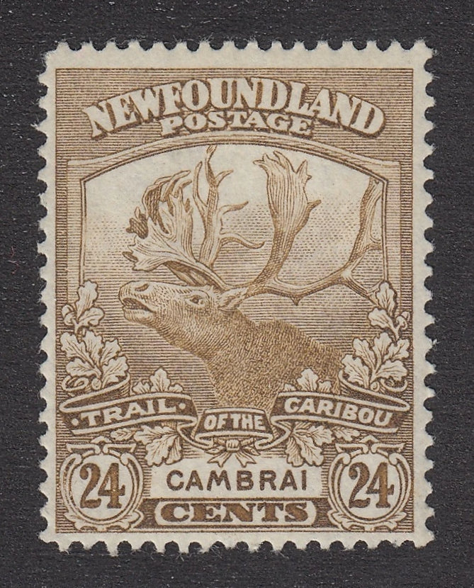 0125NF2106 - Newfoundland #125 - Mint