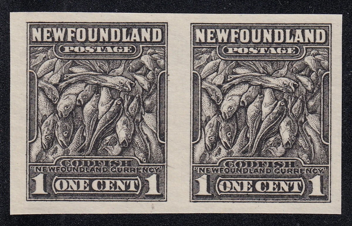 0184NF2103 - Newfoundland #184 (NSSC 174ab) - Rare Proof Pair