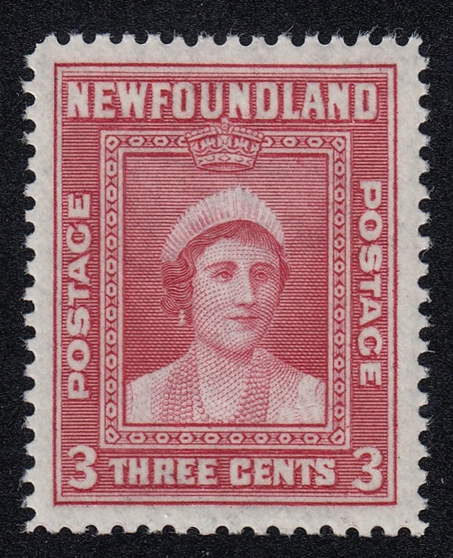 0255NF2103 - Newfoundland #255 (NSSC 238c) - Complete Offset On Gum