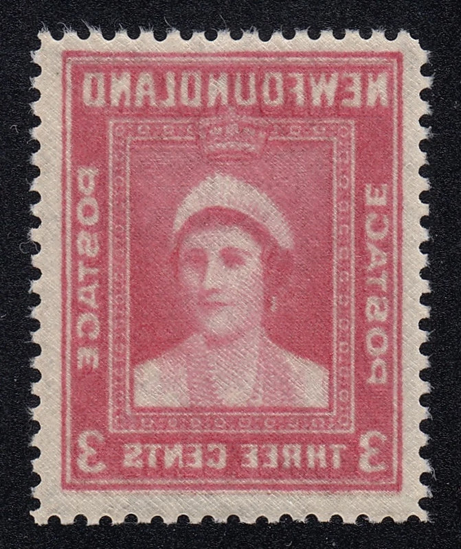 0255NF2103 - Newfoundland #255 (NSSC 238c) - Complete Offset On Gum