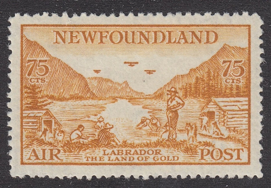 0287NF2106 - Newfoundland C17 - Mint