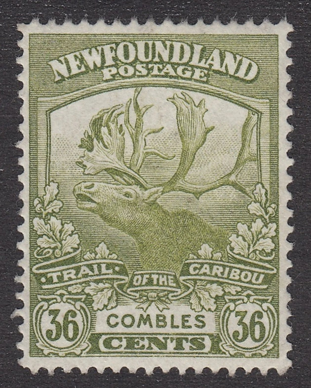 0126NF2106 - Newfoundland #126 - Mint