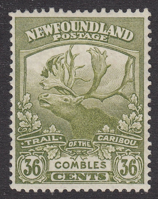 0126NF2106 - Newfoundland #126 - Mint