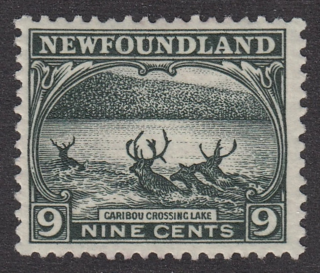 0138NF2106 - Newfoundland #138 - Mint