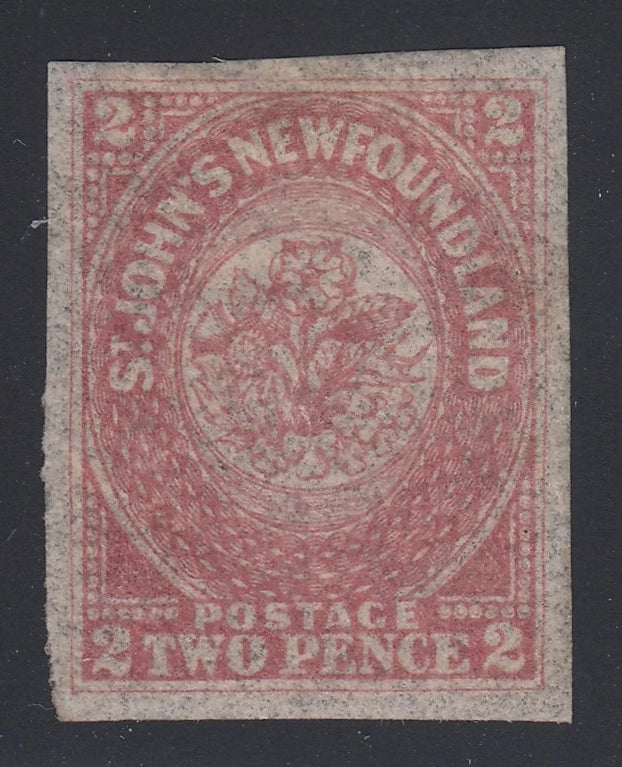 0017NF2105 - Newfoundland #17 - Mint