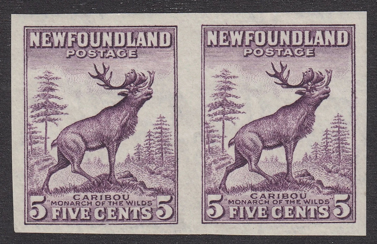 0191NF2106 - Newfoundland #191b - Mint Pair