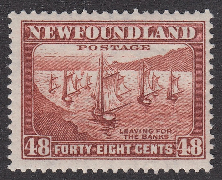 0199NF2106 - Newfoundland #199 - Mint