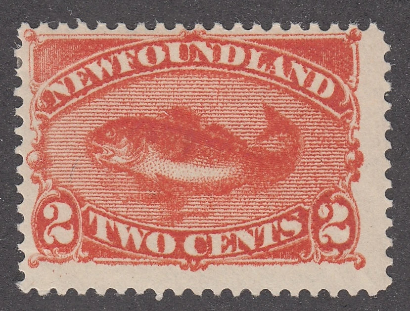 0048NF2106 - Newfoundland #48 - Mint