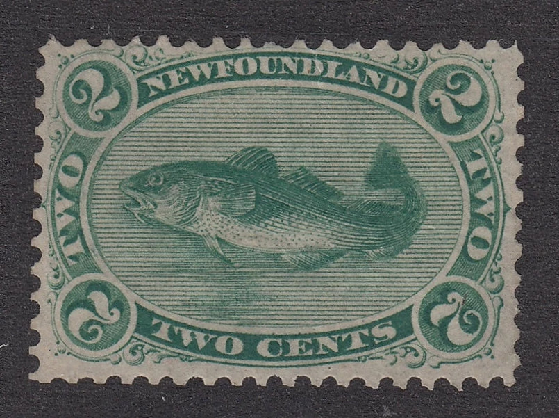 0024NF2105 - Newfoundland #24a - Unused