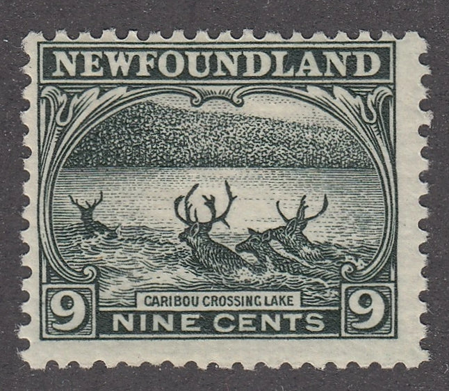 0138NF2103 - Newfoundland #138 - Mint